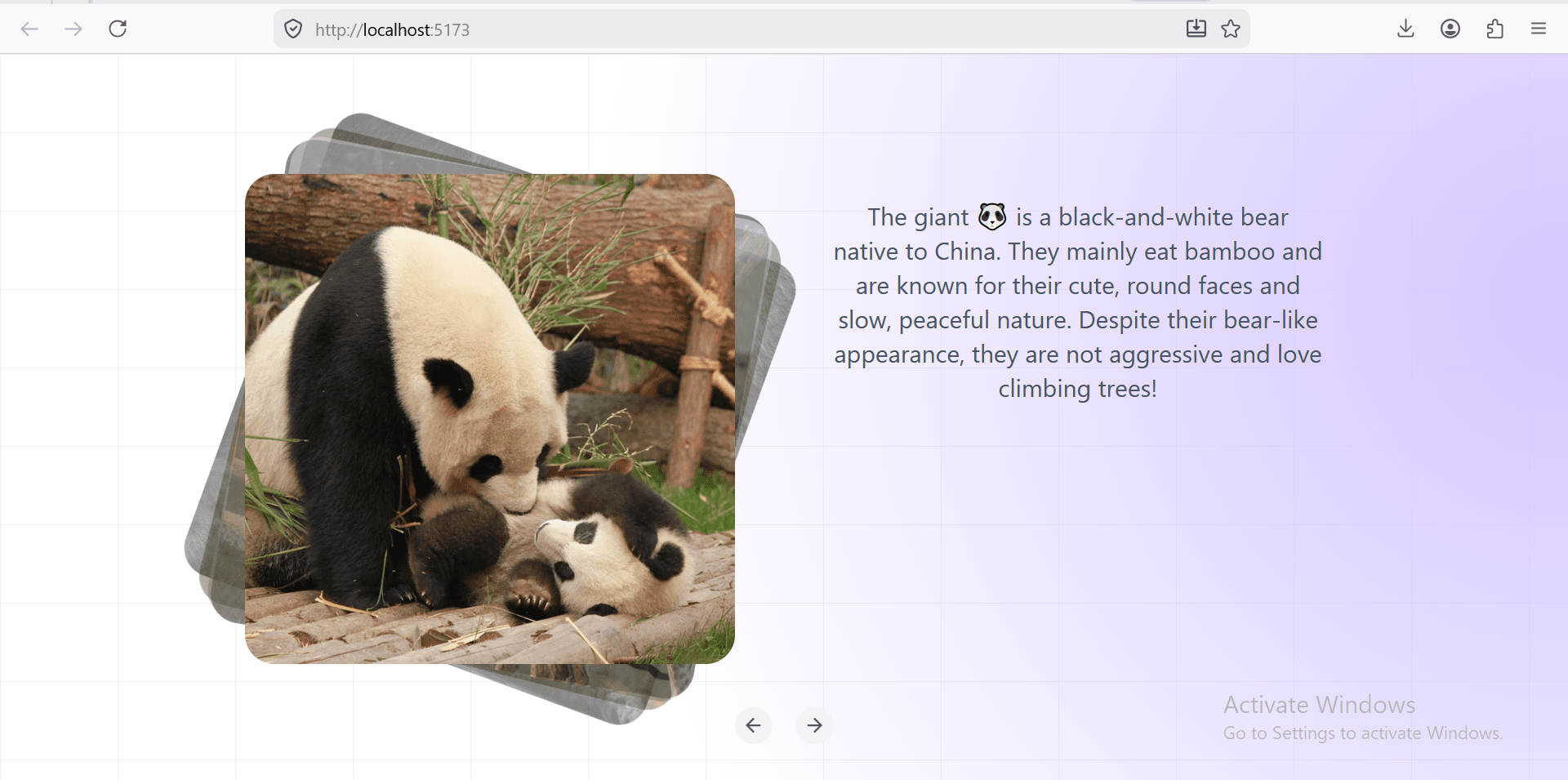 Panda Stories